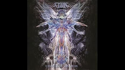Cynic - The Space For This 