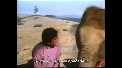 Песента от филма Слонът мой приятел 