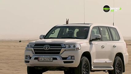 Соколът - националната птица на Катар
