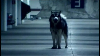 Stratovarius - Hunting High And Low Hq 