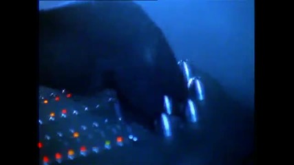 N - Trance - The Mind of The Machine 