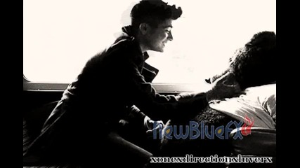 -zayn Malik-titanium-