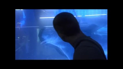 Leona Lewis - I See You [theme from Avatar]