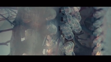 Rusko- Everyday Official Music Video