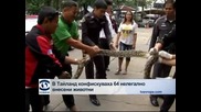 В Тайланд конфискуваха 64 нелегално внесени животни