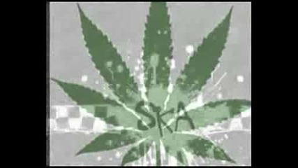 Ska - P Cannabis