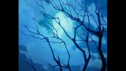 In Pieces - Spice and Wolf