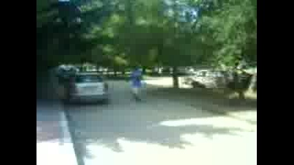 Gonima Pitbull