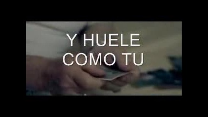 Avril Lavigne When You`re Gone Spanish Sub