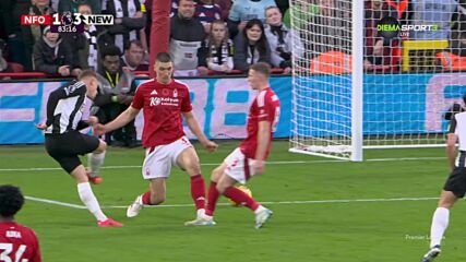 Goal by Newcastle United