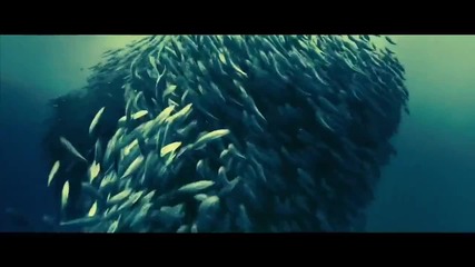 Oceans - Disney Nature Official Trailer 2010