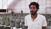 Египетска ферма използва модерни технологии за адаптиране към изменението на климата (ВИДЕО)
