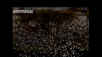 Emrah `in Sarkisi Seviyorum Damar 2010