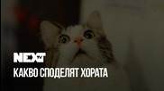NEXTTV 038: "Какво споделяме в интернет" от Етиен Янев