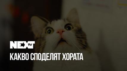 NEXTTV 038: "Какво споделяме в интернет" от Етиен Янев
