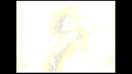 Plava Trava Zaborava - Evangelinne