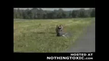 Morons_on_bikes-002