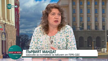 Киселова: Президентът дава време на партиите за съставяне на правителство