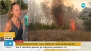 Борба срещу палежите в Хасковско: Граждански патрули и солидарност