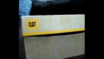 Смешно клипче с всакакви котки! Hd!
