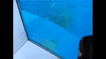 Бяла мечка прави задно превъртане