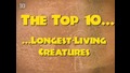 Топ 10 най - дълго живеещи същества