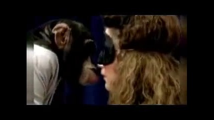 скрита камера целувка с шимпанзе