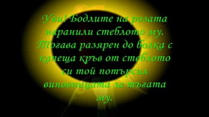 Плевел и Роза