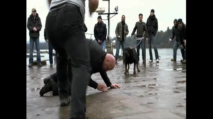 Damage video (2)