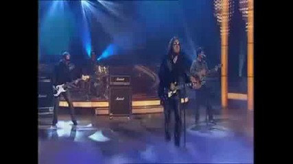 Zucchero - Wonderful Life 2008