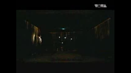 Sasha - Hide & Seek