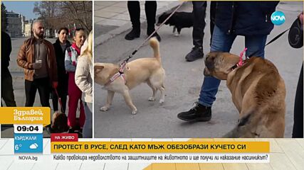 Нов протест в Русе заради пребито от стопанина му куче