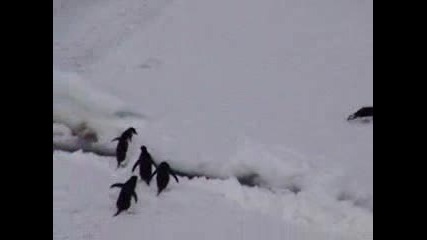 Пингвини Марш На Скок