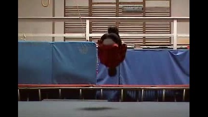 backflip 