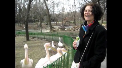 Абв Давид,мама и тати в Зоо-парка във Варна