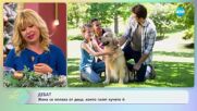 Дебат: Жена се оплака от деца, които галят кучето й - „На кафе” (06.12.2023)