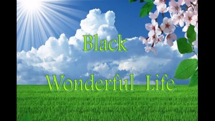 Black - Wonderful Life