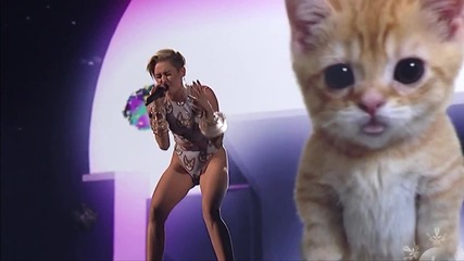 Miley Cyrus - Wrecking Ball ( American Music Awards 2013 )