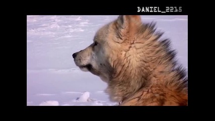 Ледената Пустощ