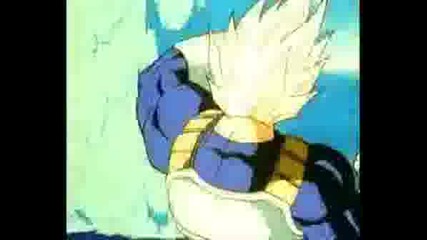 Goku And Vegeta Team Of Eternal Rivals