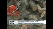 Проверяват дали Агенция по горите е продавала дървесина на преференциални цени