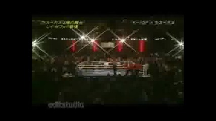 Funny MMA Knockouts