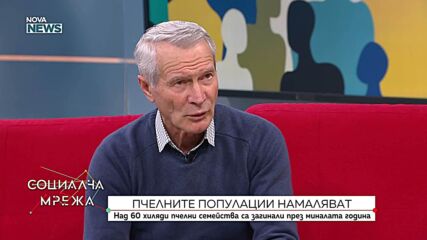 Производството на мед у нас намаля с близо 8% за година