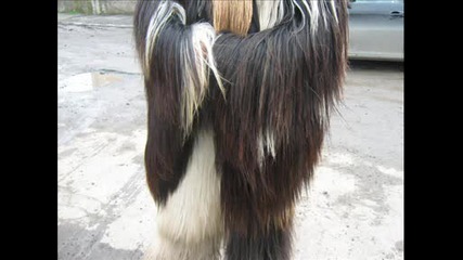 Kukeri - Dolno Ezerovo 2009 