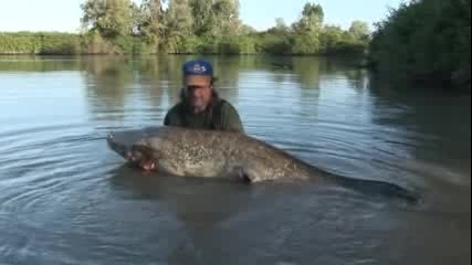 Риболов На Сом