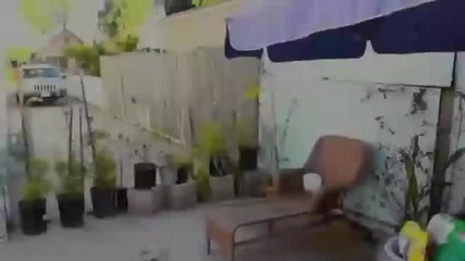 El Nino Karate