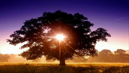 Aeronautics - This Way Sunset i Sunrise Remix 