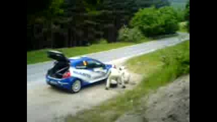 rally hebros `08