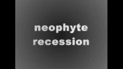 Neophyte - Recession
