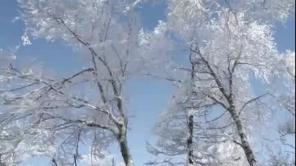 Ф.шопен - Ноктюрнo ( Зимни картини )